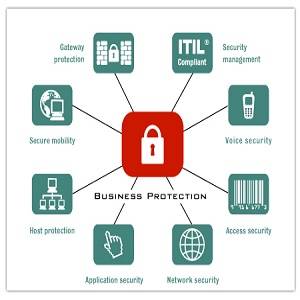 Website Security Testing Services