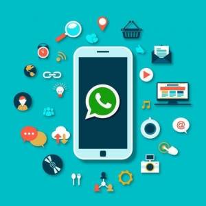 Whatsapp  Api & Web Panel